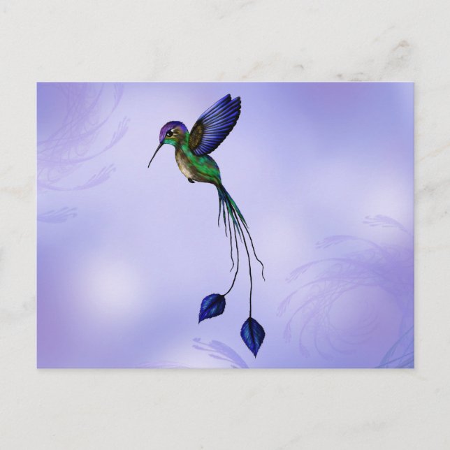 Hummingbird Postcard (Front)