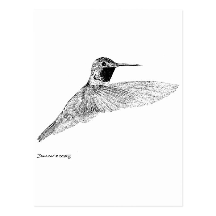 Hummingbird Postcards