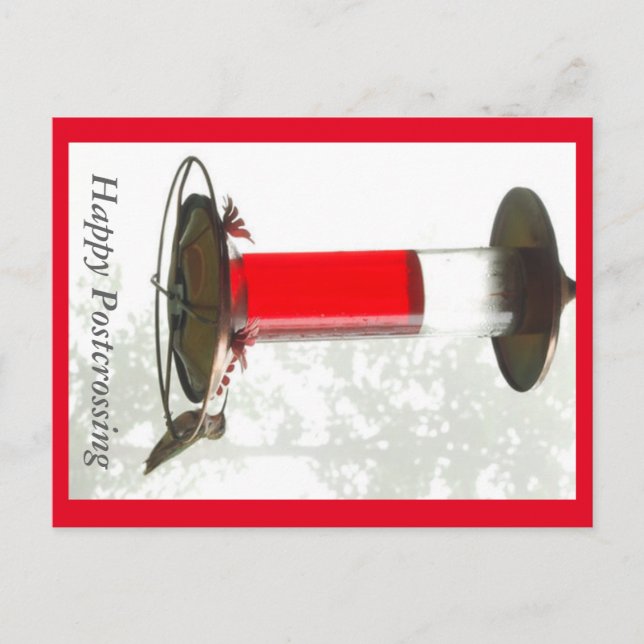 Hummingbird Postcrossong Postcard (Front)