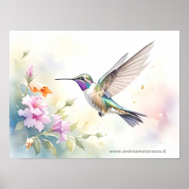 Hummingbird Poster (Front)
