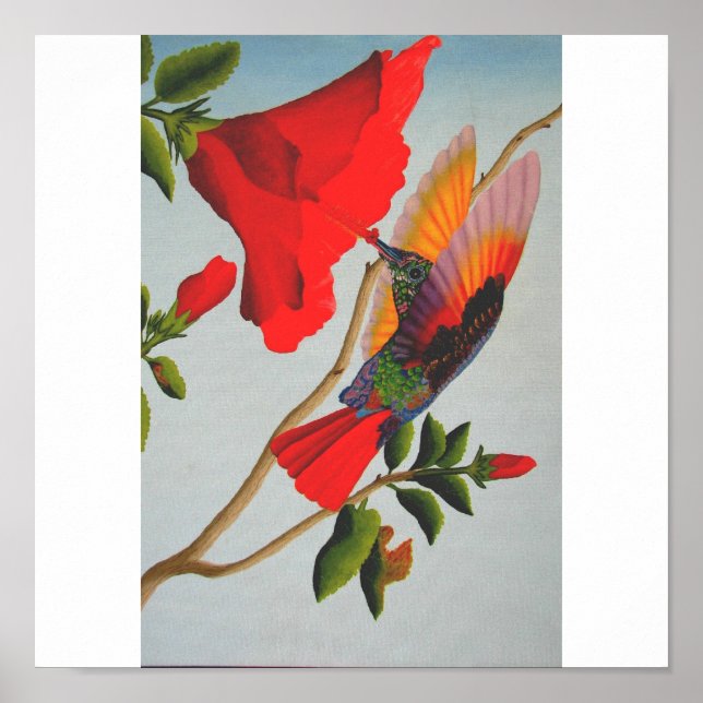 Hummingbird Poster (Front)