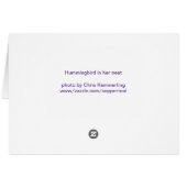 Hummingbird Prepares her Nest Cards (Back Horizontal)