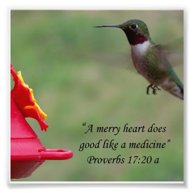 Hummingbird Proverbs 17:20 Bible Verse Photograph (Front)