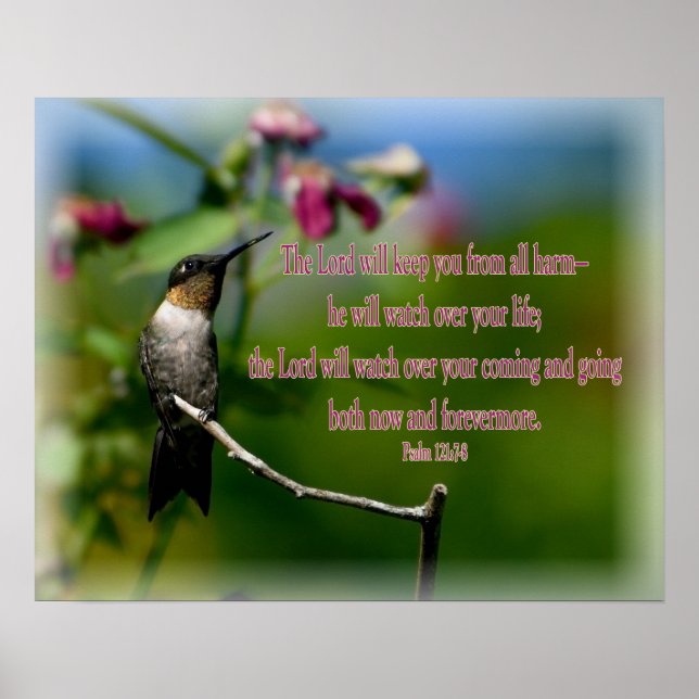 Hummingbird Psalm 121:7-8 Poster (Front)