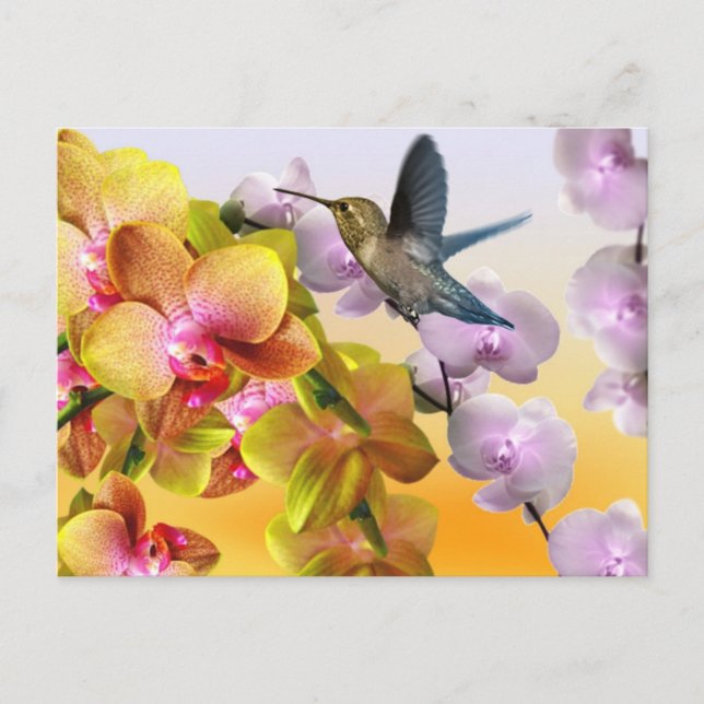 Hummingbird, Purple Lilacs, Yellow Pink Orchids Postcard (Front)