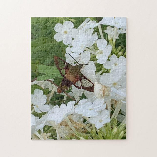 Hummingbird Puzzle  (Vertical)