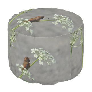 Hummingbird Queen Ann's Lace  grey background Pouf