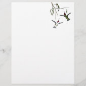 Hummingbird Recycled Letterhead (Front)