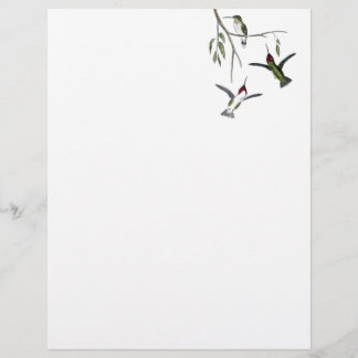 Hummingbird Recycled Letterhead
