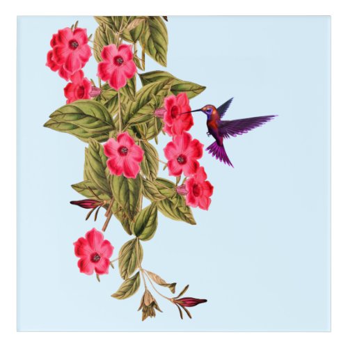 Hummingbird Red Flowers Sky Blue Background Acrylic Print