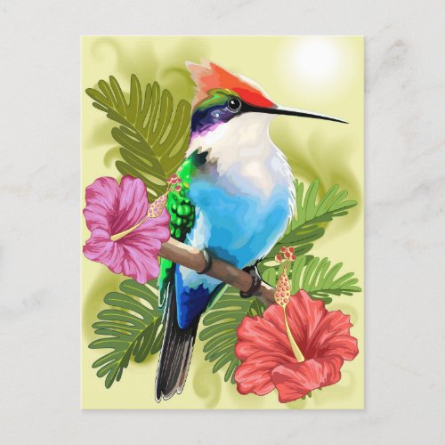 Hummingbird resting and Hibiscuses  Shot glass Postcard