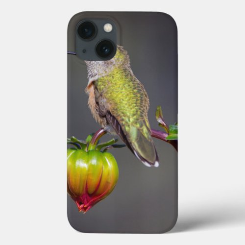 Hummingbird rests on flower bud iPhone 13 case