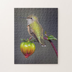 Hummingbird rests on flower bud jigsaw puzzle