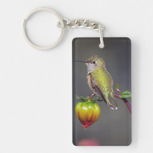 Hummingbird rests on flower bud keychain