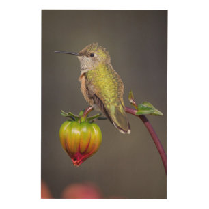 Hummingbird rests on flower bud wood wall decor