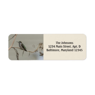 Hummingbird Return Address Labels