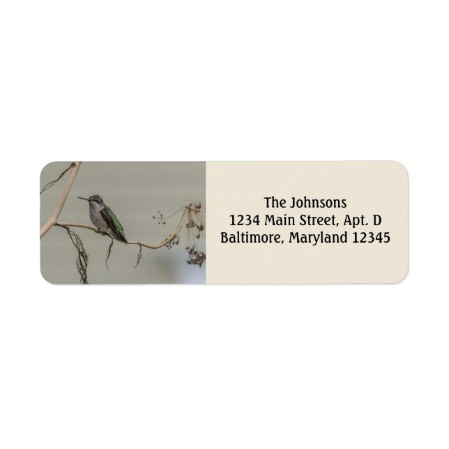 Hummingbird Return Address Labels (Front)