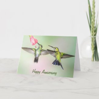 Hummingbird Romantic Couple Happy Anniversary Card