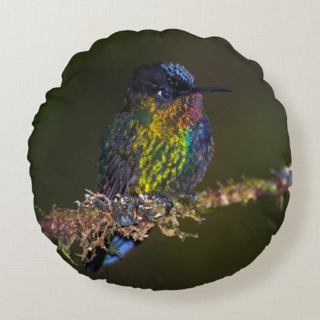 Hummingbird Round Pillow (Front)