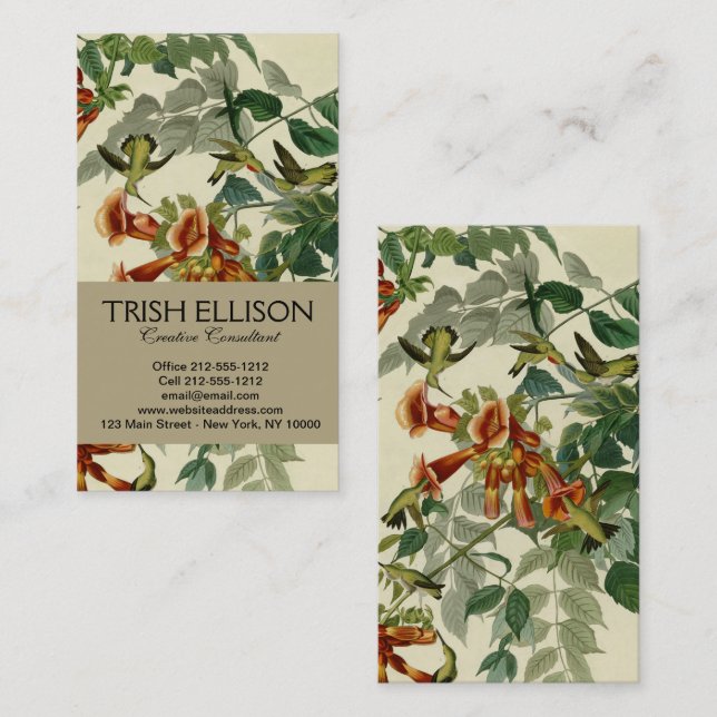 Hummingbird Ruby Throated Audubon Bird Business Card (Front/Back)