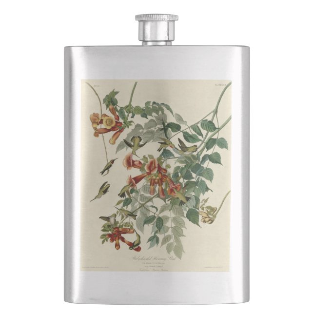 Hummingbird Ruby Throated Audubon Bird Flask (Front)