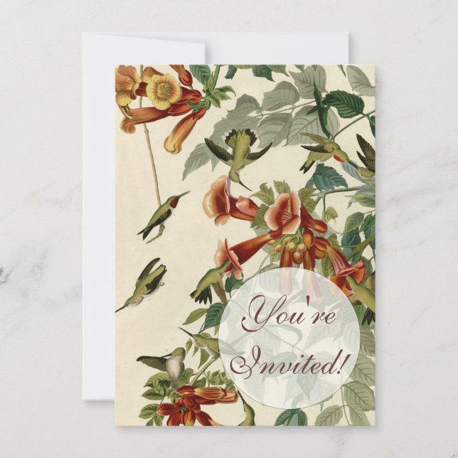 Hummingbird Ruby Throated Audubon Bird Invitation (Front)