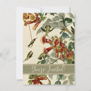 Hummingbird Ruby Throated Audubon Bird Invitation