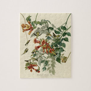 Hummingbird Ruby Throated Audubon Bird Jigsaw Puzzle