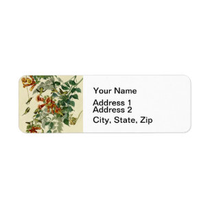 Hummingbird Ruby Throated Audubon Bird Label