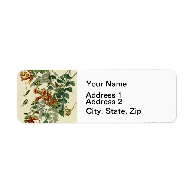 Hummingbird Ruby Throated Audubon Bird Label (Front)