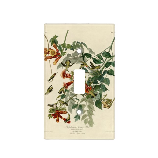 Hummingbird Ruby Throated Audubon Bird Light Switch Cover (Front)