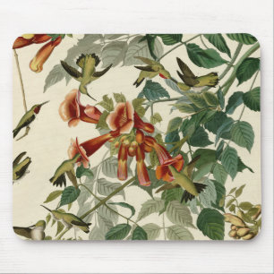 Hummingbird Ruby Throated Audubon Bird Mouse Pad