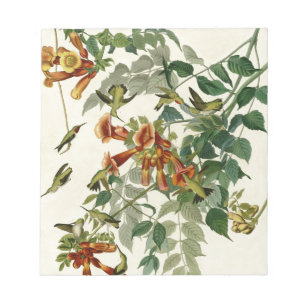 Hummingbird Ruby Throated Audubon Bird Notepad