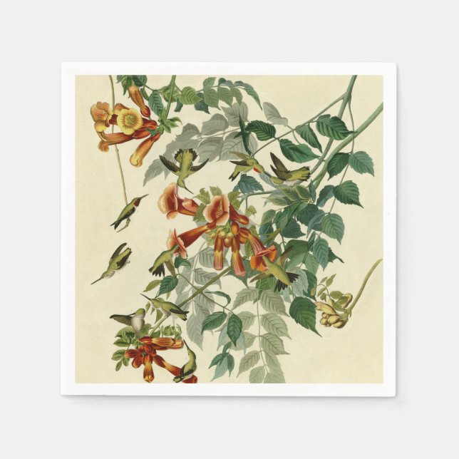 Hummingbird Ruby Throated Audubon Bird Paper Napkins (Front)
