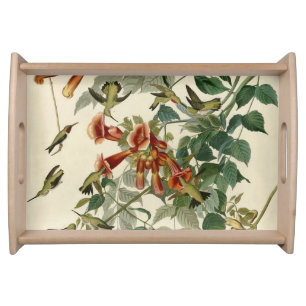 Hummingbird Ruby Throated Audubon Bird Serving Tray