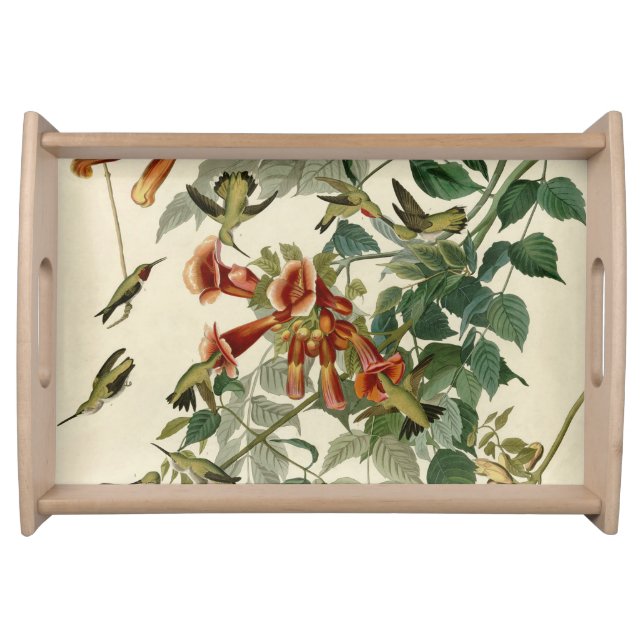 Hummingbird Ruby Throated Audubon Bird Serving Tray (Front)