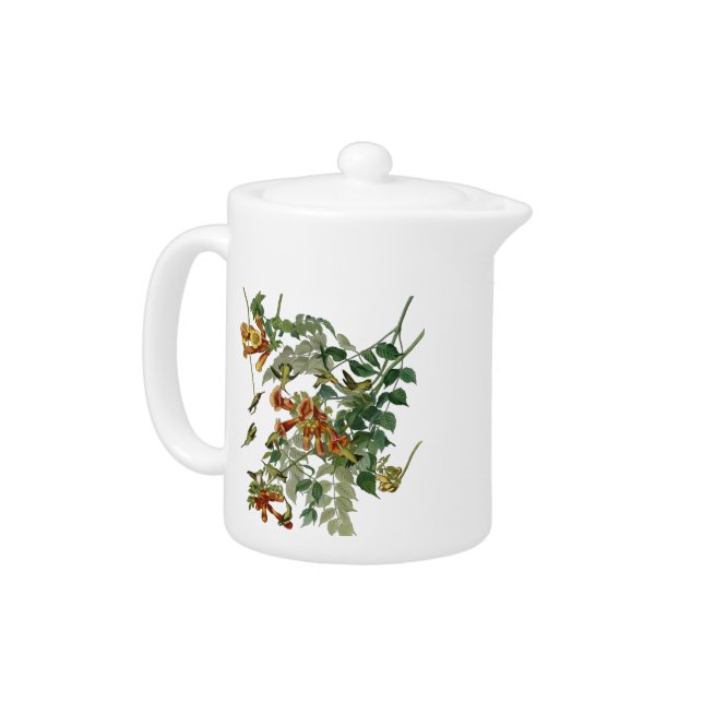 Hummingbird Ruby Throated Audubon Bird Teapot (Left)