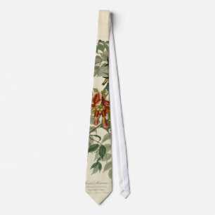 Hummingbird Ruby Throated Audubon Bird Tie