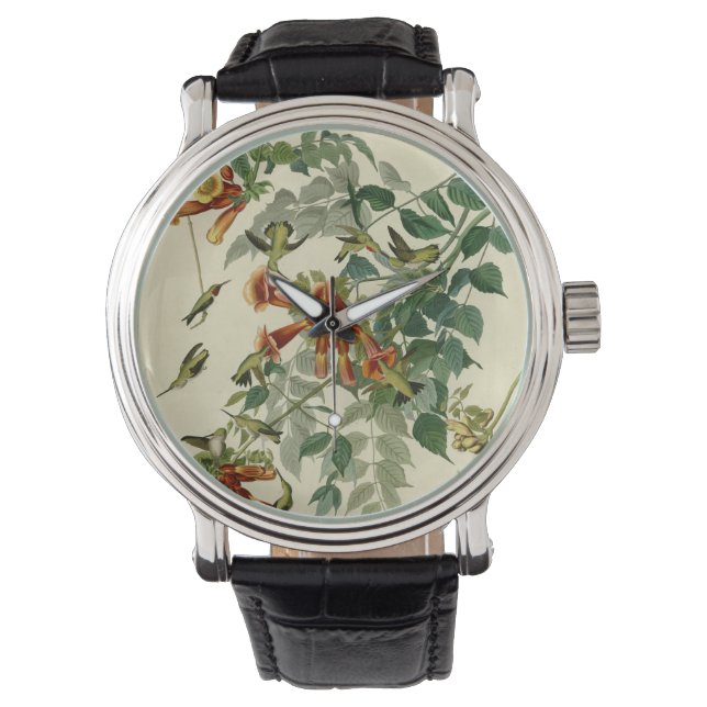 Hummingbird Ruby Throated Audubon Bird Watch (Front)