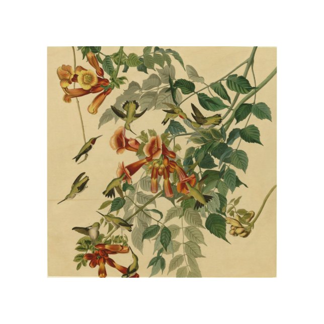Hummingbird Ruby Throated Audubon Bird Wood Wall Decor (Front)
