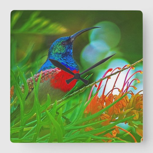Hummingbird ruby throated square wall clock