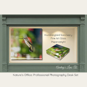 Hummingbird Sanctuary Fine Art Glass  Paperweight