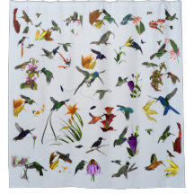 Hummingbird Shower (Blue)