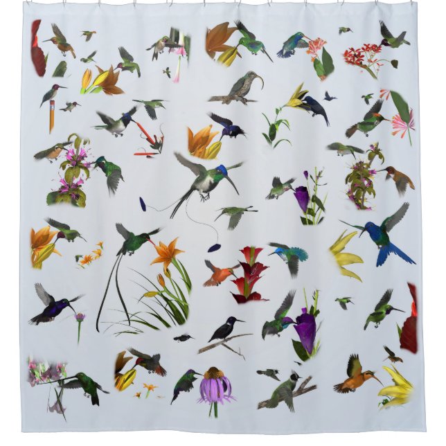 Hummingbird Shower (Blue) Shower Curtain (Front)