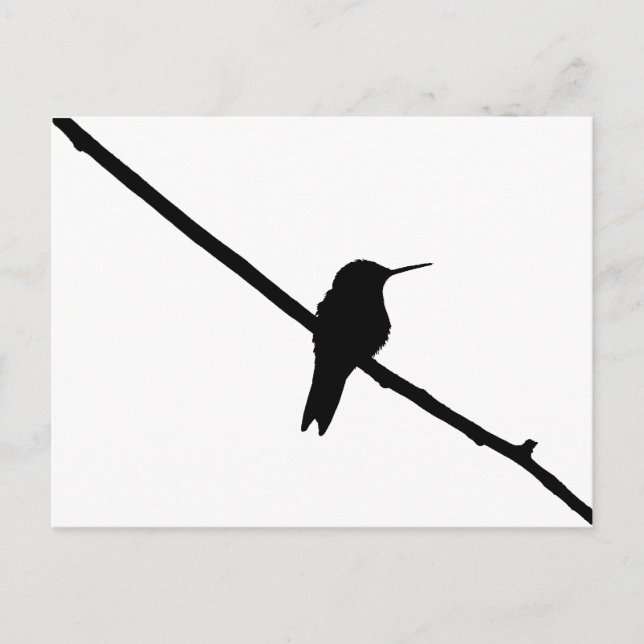 Hummingbird Silhouette Postcard (Front)