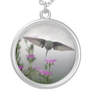 Hummingbird Silver Plated Necklace