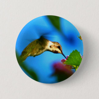 Hummingbird Sipping Pinback Button