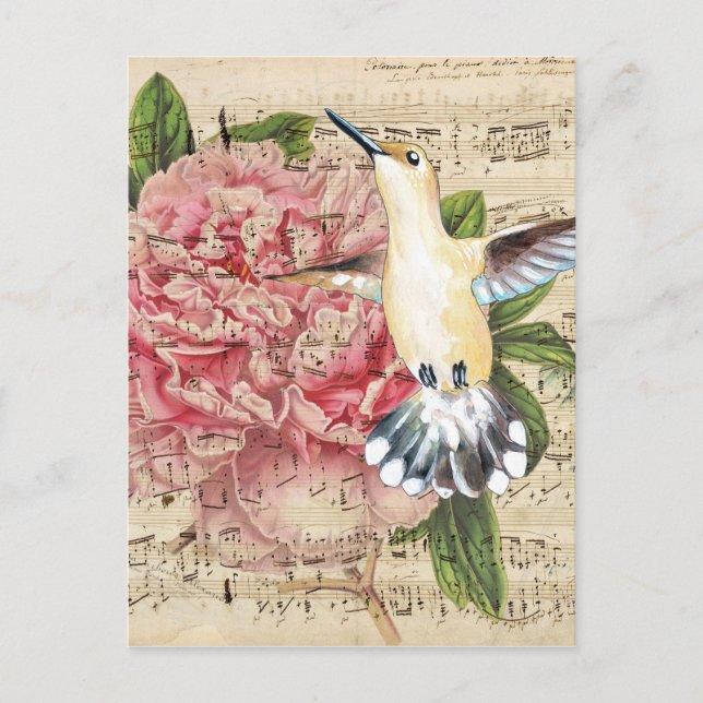 Hummingbird Song Postcard (Front)