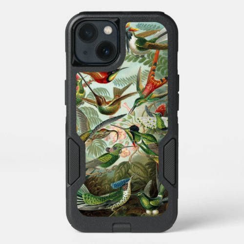 Hummingbird Species iPhone 13 Case