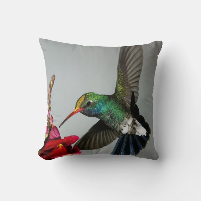 Hummingbird spring decor pillow (Front)